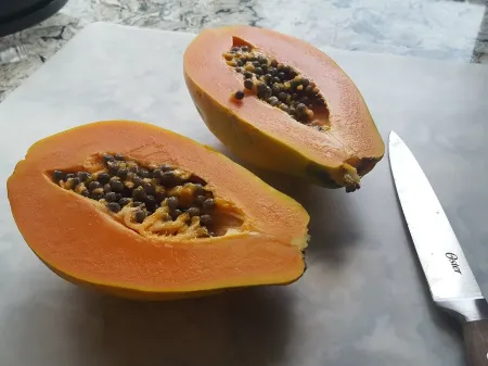 Big Spacious Elevated View Home, Minutes to VNP,Myra's Blue Hawaii House Отели в г. Ошен Вью