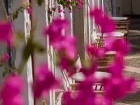 Grecotel Plaza Beach House - salle de sport