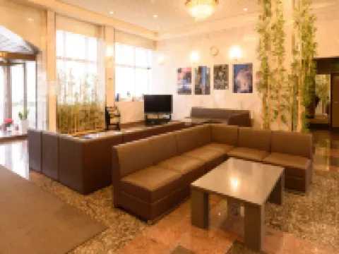 비즈니스 호텔 가와카미 구마노 호텔