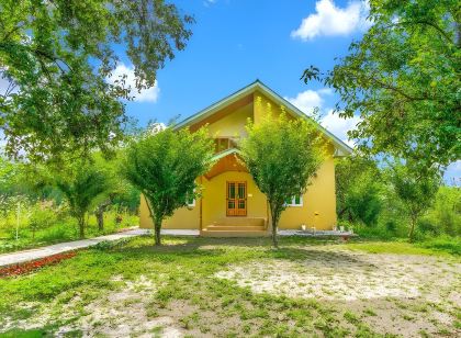 Silversky Guesthouse - Shillong