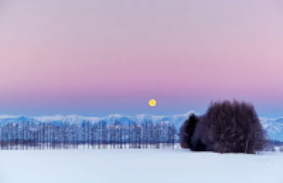 Western Style Western Style St 東神楽町のホテル