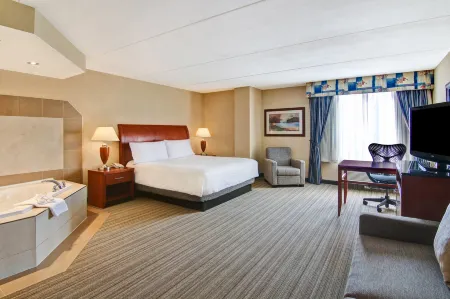 多倫多伯林頓希爾頓花園酒店