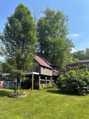 Tree house  lots birds  great location . ..... lots to do all summer long ......