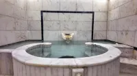 Yıldız Termal Hotel Hotels in Osmangazi