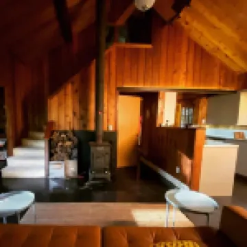 Secluded Cozy Cedar Wood Cabin in 20 acres of native woods, on the Paw Paw river