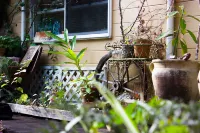 Awajishima Mammoth Hotel & Cottage <Awajishima>