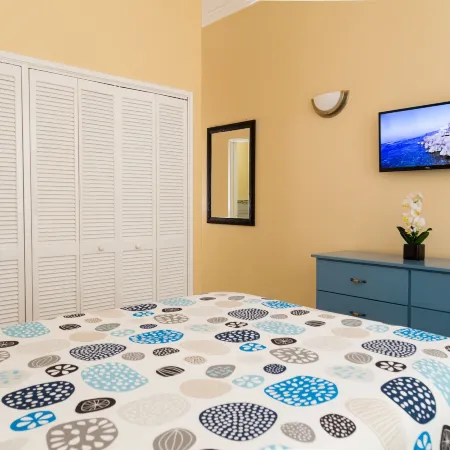 New Kingston Guest Apartment at Westbury