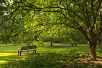 Rivertrees Country Inn Hotels in 