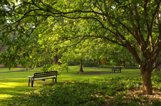 河邊樹鄉村酒店