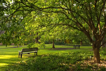 Rivertrees Country Inn Отели в г. Arumeru