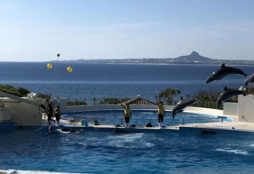 오키나와 프리덤