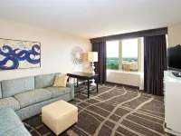 Hilton St. Petersburg Bayfront Hotels near 400 Beach