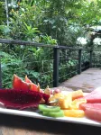 Daintree Wilderness Lodge - breakfast