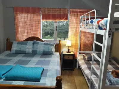 Muster Guesthouse Hotels in 
