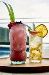 Les Galets Rouges Lodges & Spa - bar