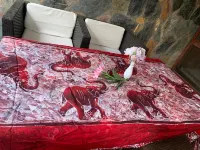 1Bed Apartment - Parking Wifi Balcony BBQ