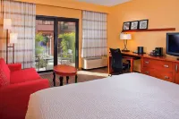 Courtyard Orlando Airport