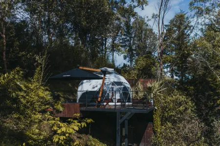 Domus Glamping - Guatapé