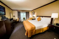 ฮอลลีวูดคาสิโน ตูนิกา โรงแรมใน