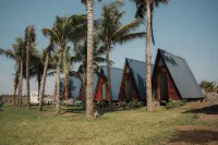 Arena Hostel Hotels near Embarcadero Cocalito