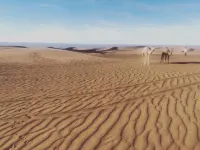 Bivouac Joudour Sahara فنادق في محاميد الغزلان