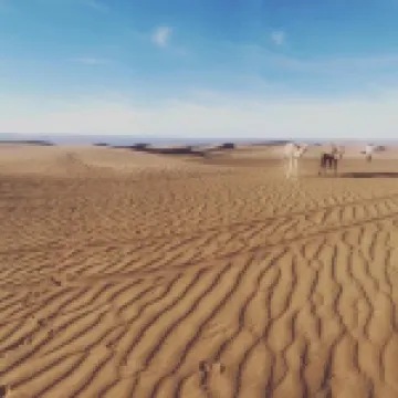 Bivouac Joudour Sahara