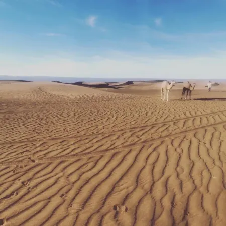 Bivouac Joudour Sahara Отели в г. Мхамид-Эль-Гизлане