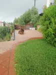 Villa Aresco Hotels in Mascalucia