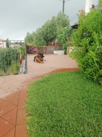 Villa Aresco Отели в г. Mascalucia