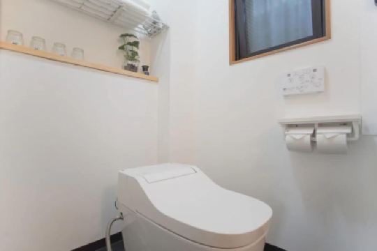 Other Dandelion Photo