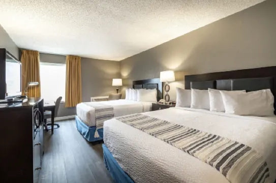 The Bransinn Entertainment District