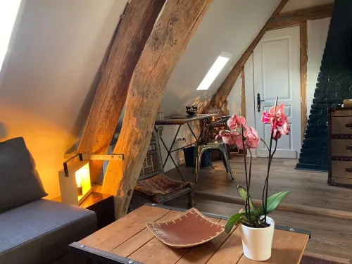 La Maison Carpe Diem - Pet friendly