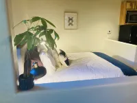 Charming slopeside condo with pool