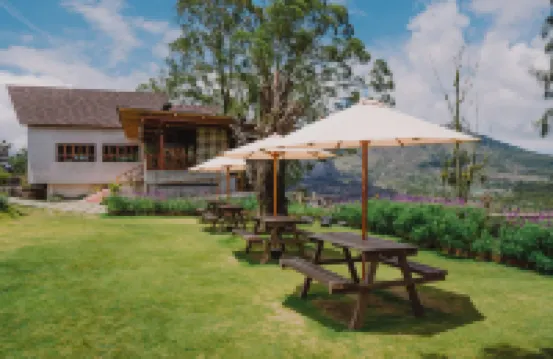 Alam Caldera Kintamani Hotels near Kintamani Highland