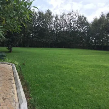 Greenwoods Resort and Campsite