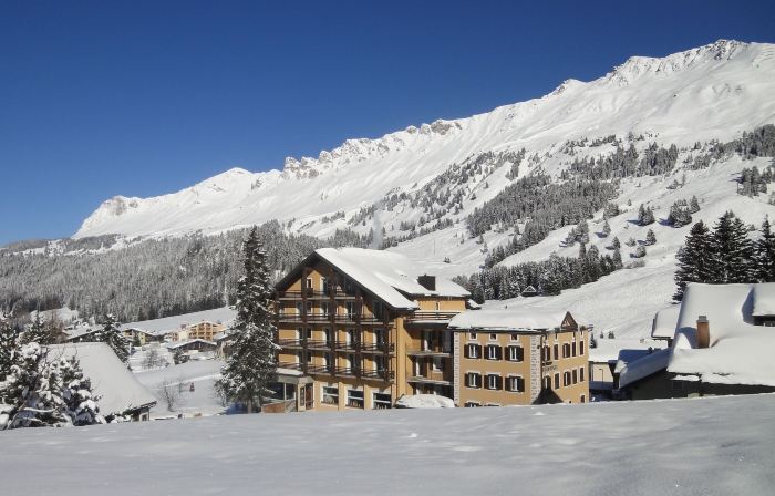 Hotel Alpina Parpan