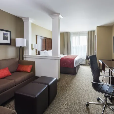 Comfort Suites Medical Center