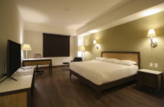 莫雷利亞圖羅特爾酒店 酒店