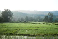 Tropicalfolks Campers Lodge Hotels in Balangoda