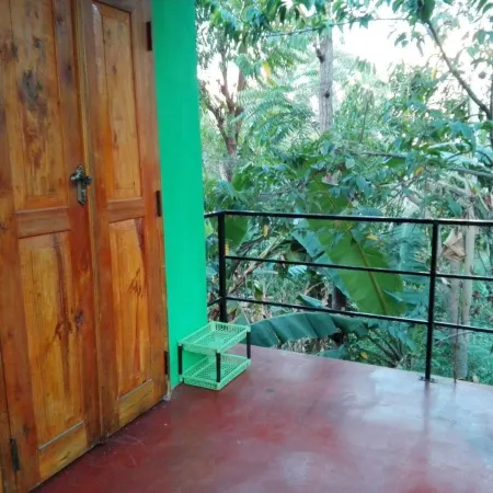 New Green View