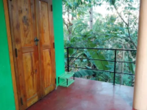 New Green View