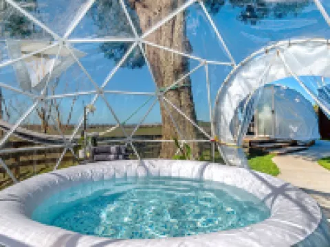 208 Lake Road Hotels in Gisborne