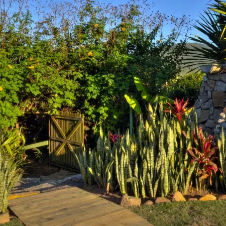 Village Praia do Rosa