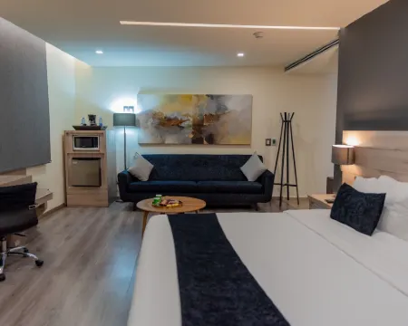 ドムン ホテル ケレタロのホテル