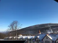 Boutique Hotel Sudetia - Medical & Spa - Mountain view