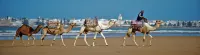 Riad Dar l'Oussia & Spa - Beach