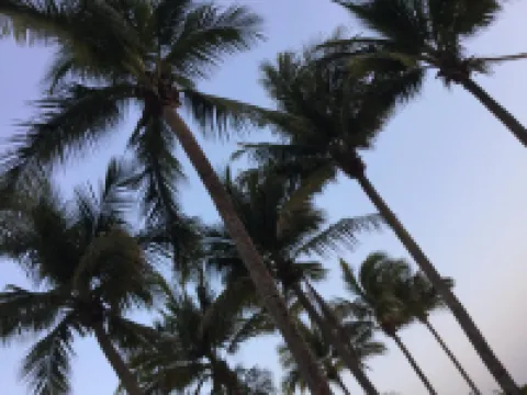 Hotel Arista Bugambilias Hoteles en Tonalá