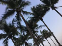 Hotel Arista Bugambilias