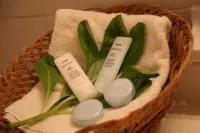Tingum Village Hotel - spa