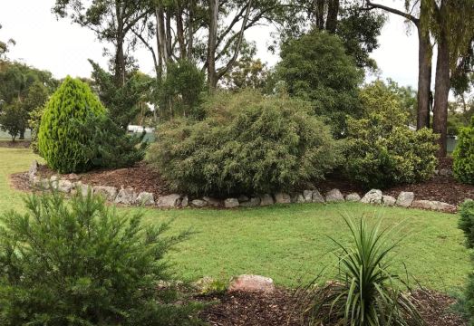 크로우스네스트 모텔